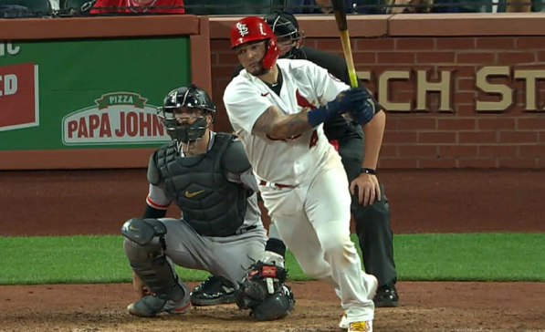 What Does It Take to Be a Professional Baseball Player?